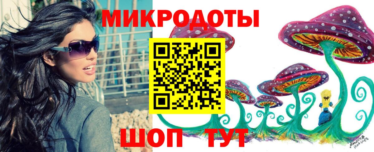 Псилоцибиновые грибы Psilocybine cubensis Димитровград