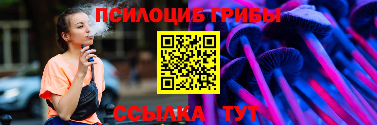 Димитровград  Псилоцибиновые грибы Cubensis  Вход с VPN 